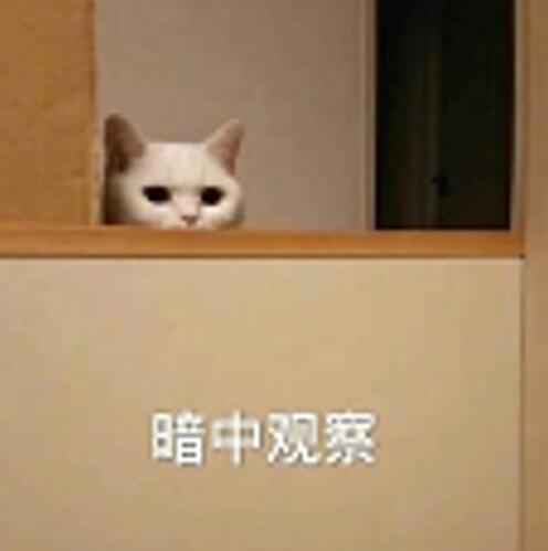 中唱“HI计划”选拔活动走进长沙，5月2日开启国风音乐盛宴！