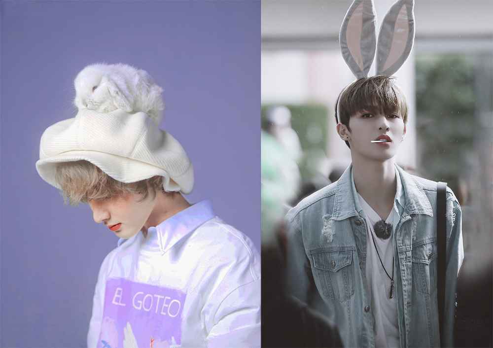 兔子系长相的明星，你 pick 哪一个？