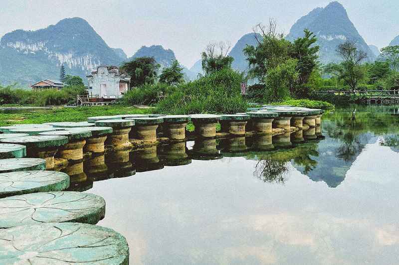 卢靖姗晒瑜伽倒立照 倡导健康运动低碳生活