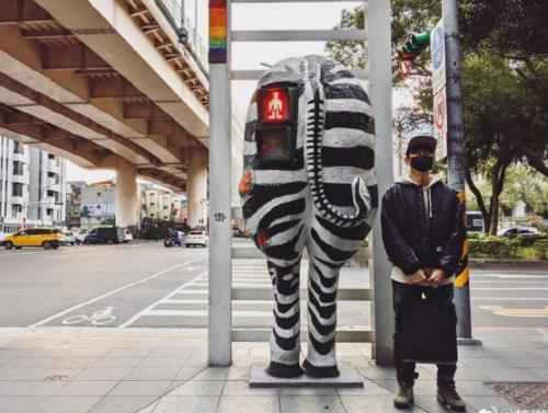 林俊杰与斑马雕塑合影求标题 被侃：热脸与冷屁股