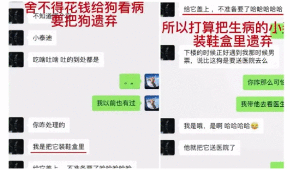 这位以坑前任著称的女明星 终于栽在了自己的前任手上