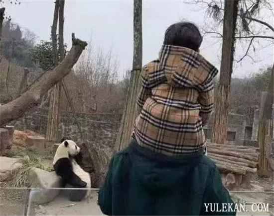 黄晓明为何很少晒照?黄晓明与小海绵多久没有同框了?