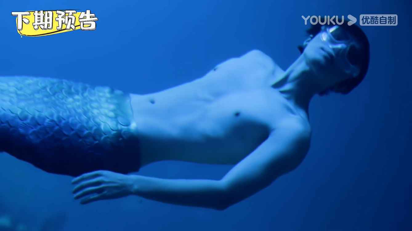 《看我的生活》陈学冬化身美人鱼 佘诗曼尹正鬓边后再相聚