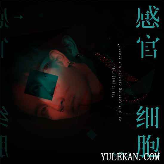 单曲《感官细胞》由谁演唱的?讲述了什么?