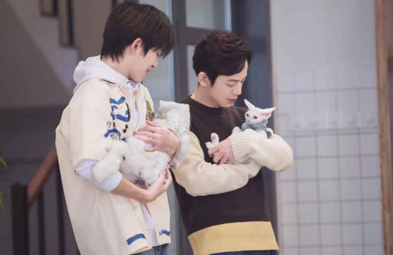 《朋友请听好》观众来电讲述悲伤故事，何炅：不爱请别伤害