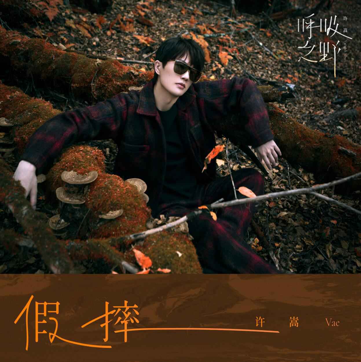 2021许嵩第8张全创作专辑《呼吸之野》 曲目《假摔》5月10日正式发行