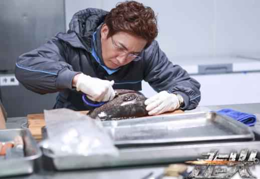 电视剧《走火》曝于毅王阳海报 正邪不两立胜负见分晓