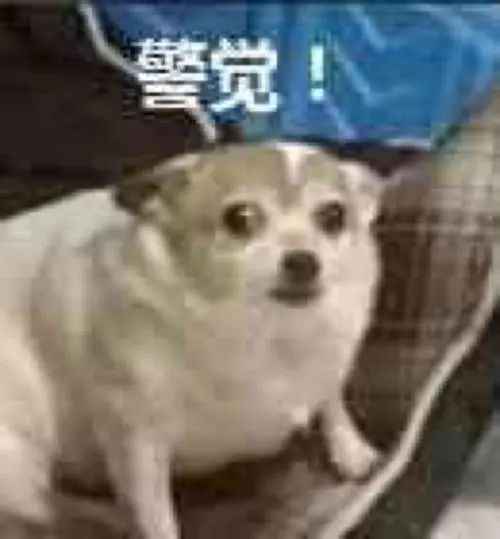 如果都是这个标准,我们内娱应该不会好了