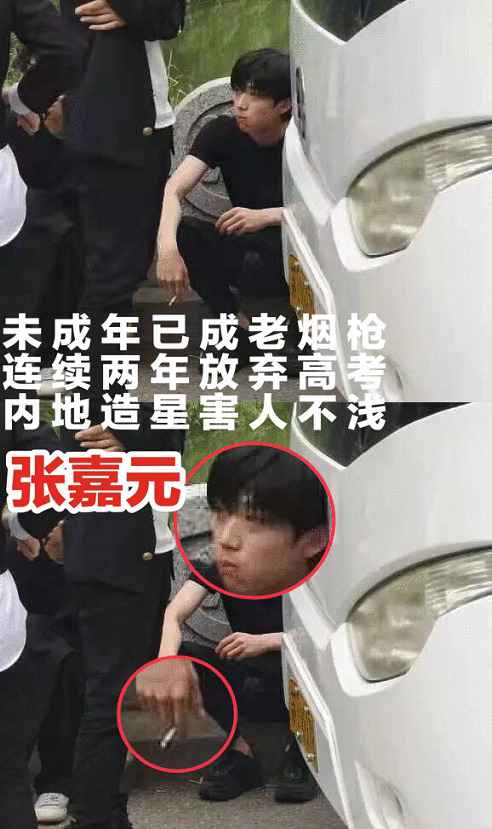 如果都是这个标准,我们内娱应该不会好了