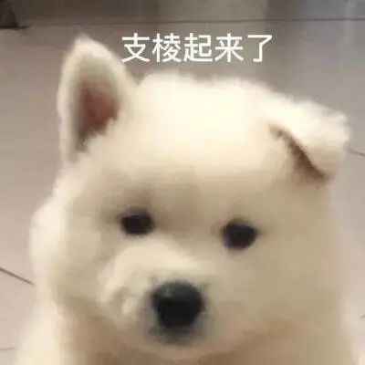 如果都是这个标准,我们内娱应该不会好了