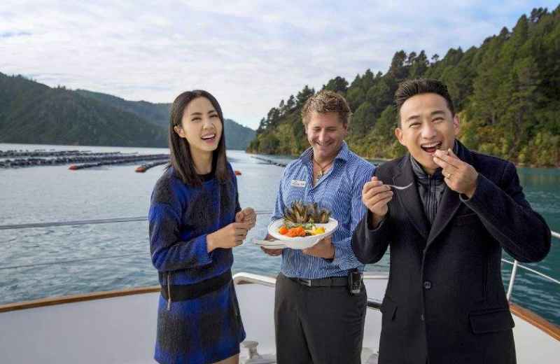 姐妹花参加蘑菇屋，共同辨植物真假，黄磊的话成亮点