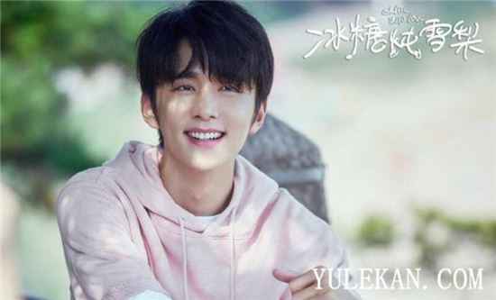 《冰糖炖雪梨》什么时候播出？是谁演的？