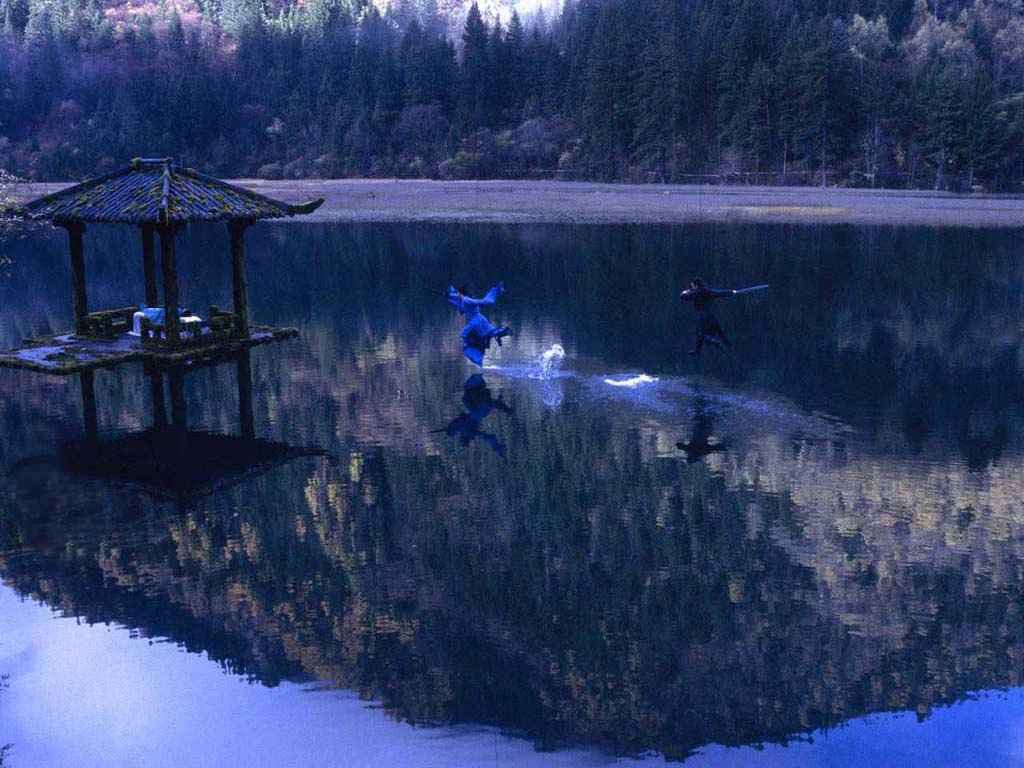 被“胡霍”虐疯的来看李连杰梁朝伟湖面