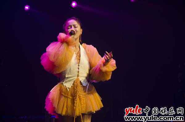 《当我们再一起》巡演完美收官，丁当感性总结“老友重聚、新友相识”