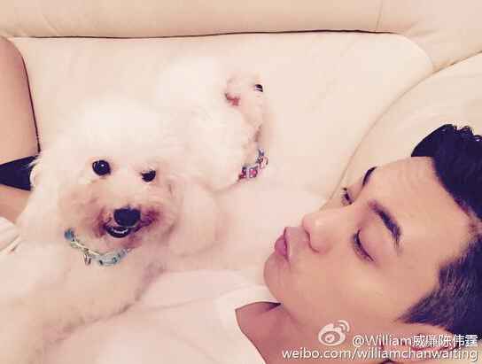 陈伟霆抱爱犬卖萌 侧颜帅翻网友
