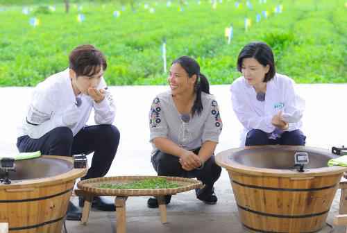 钟汉良再次加盟《我们在行动》 与陈蓉一起“入坑”铲牛粪