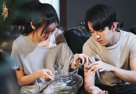 《幻乐之城》“大沈组合”大张伟沈凌上演金句互怼