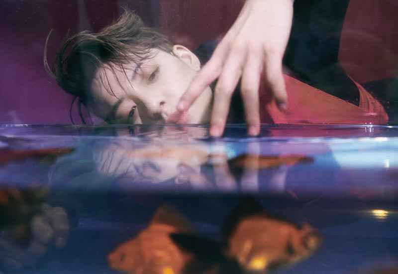 Amber 刘逸云 | 重新启程