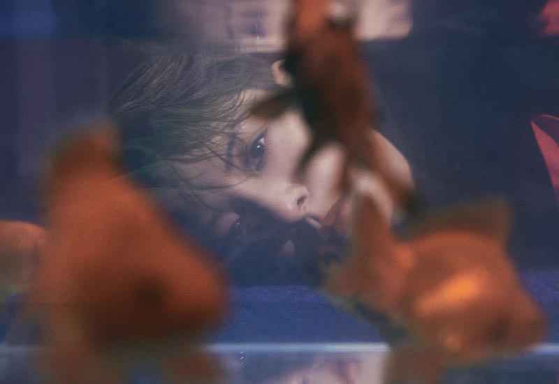 Amber 刘逸云 | 重新启程