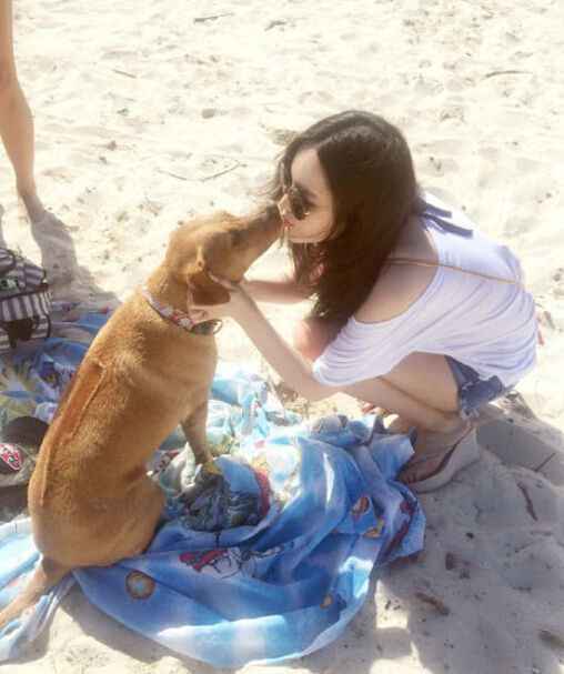 周扬青夏威夷度假亲吻狗狗 男友罗志祥疑同行