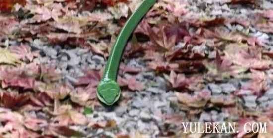 《锦衣天下》你觉得除了高甜的剧情还有哪些槽点?