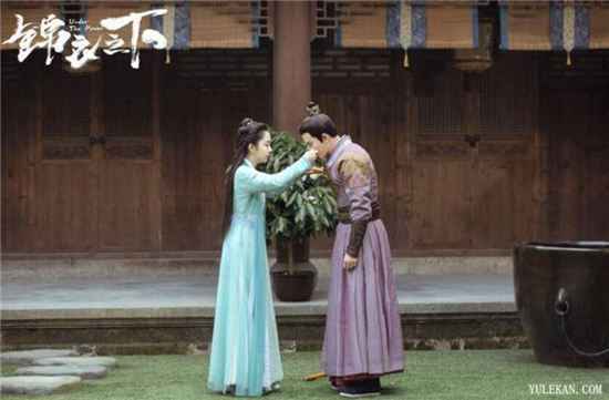 杨程万为什么反对今夏和陆绎在一起？