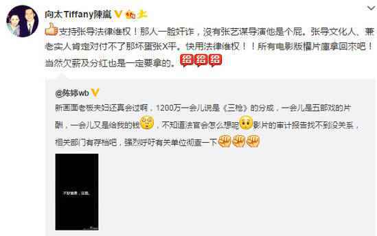 向太斥责张伟平一脸奸诈:没有张艺谋他就是个屁