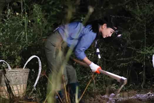 陶昕然、佟瑞欣变身“淘金矿工” 胡杏儿凌晨“佛系”挖百合