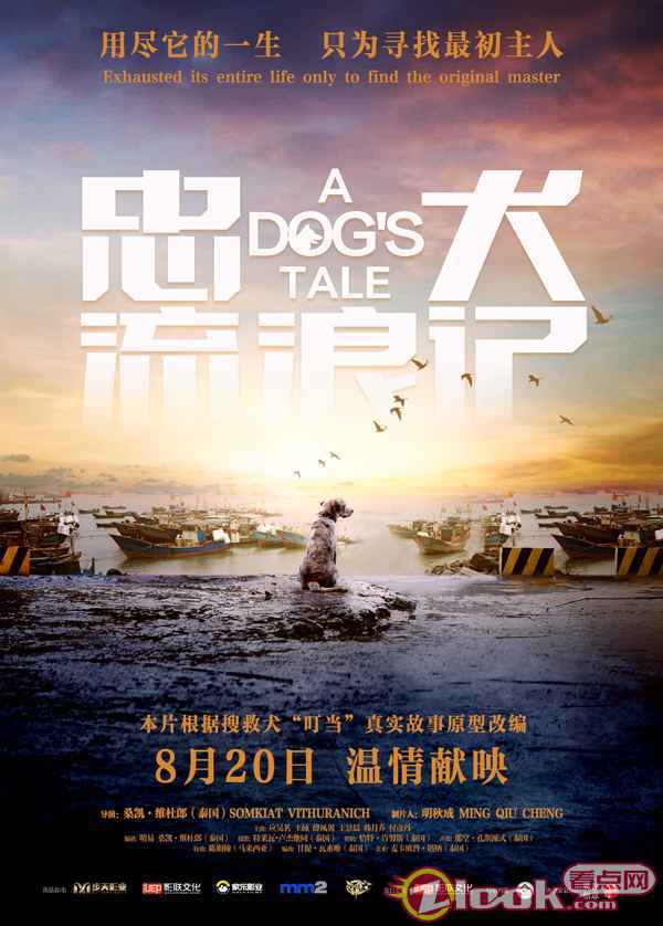 中国版忠犬八公 电影《忠犬流浪记》定档8月20日