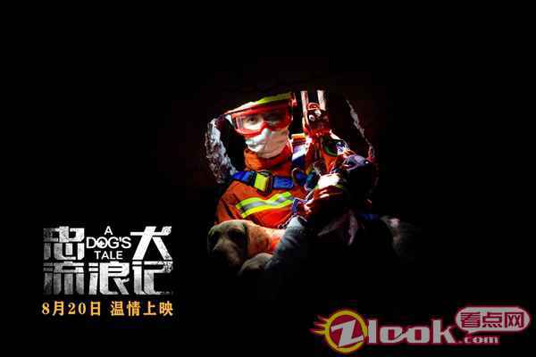 中国版忠犬八公 电影《忠犬流浪记》定档8月20日