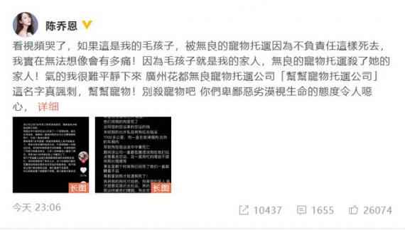 网友宠物狗不良托运致死 陈乔恩怒发长文为其发声