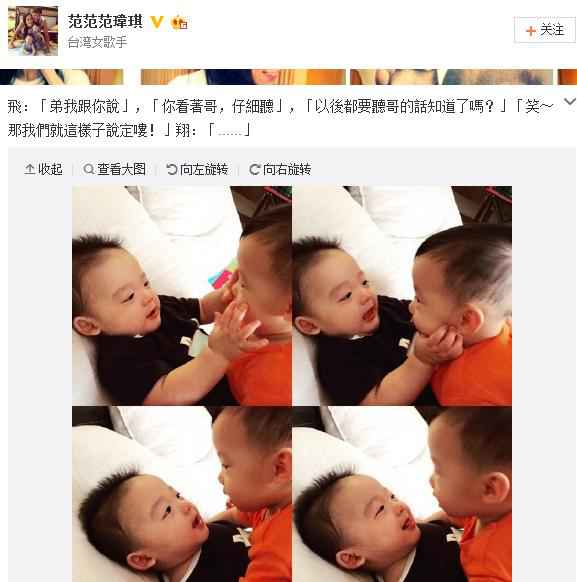 范玮琪晒爱子可爱萌照 大小熊猫亲密“交谈”