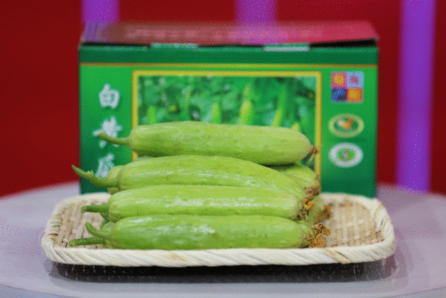 《家乡好物》海阳白玉黄瓜、秋月梨上新！大厨烤烟薯还原童年味道