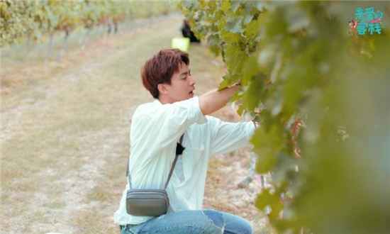 《亲爱的客栈3》马天宇到底做错了什么？张翰为什么生气离开？