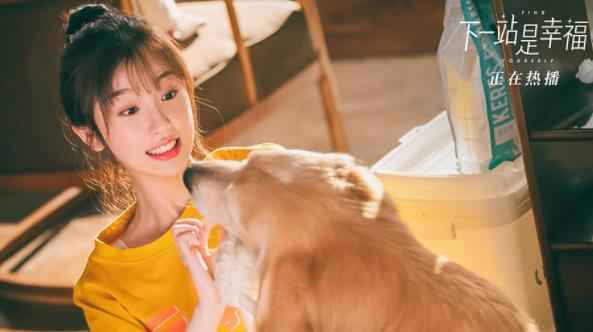 《下一站是幸福》探讨甜蜜之下的人间真实 海外热播彰显国剧魅力