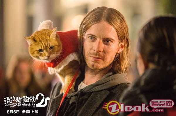 人宠情深 《流浪猫鲍勃2:鲍勃的礼物》定档8月6日 鲍勃猫延续最后的温暖