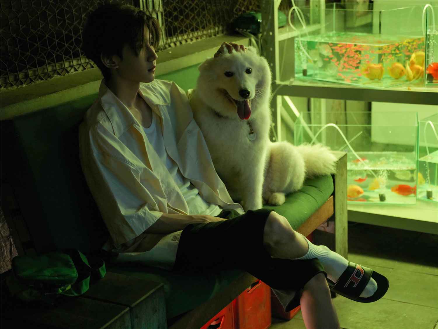 王源新歌《你的名字是世界瞒着我最大的事情》 掀起夏日回忆