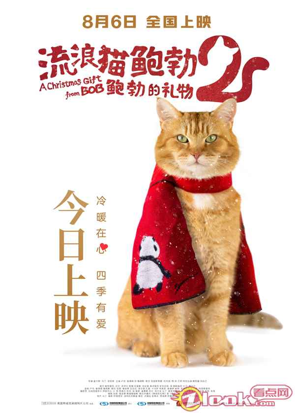 《流浪猫鲍勃2：鲍勃的礼物》观影催泪，这只橘猫值得最佳主角奖！