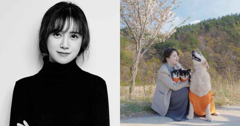 具惠善「送上最后的问候」 新发文暗示即将引退？