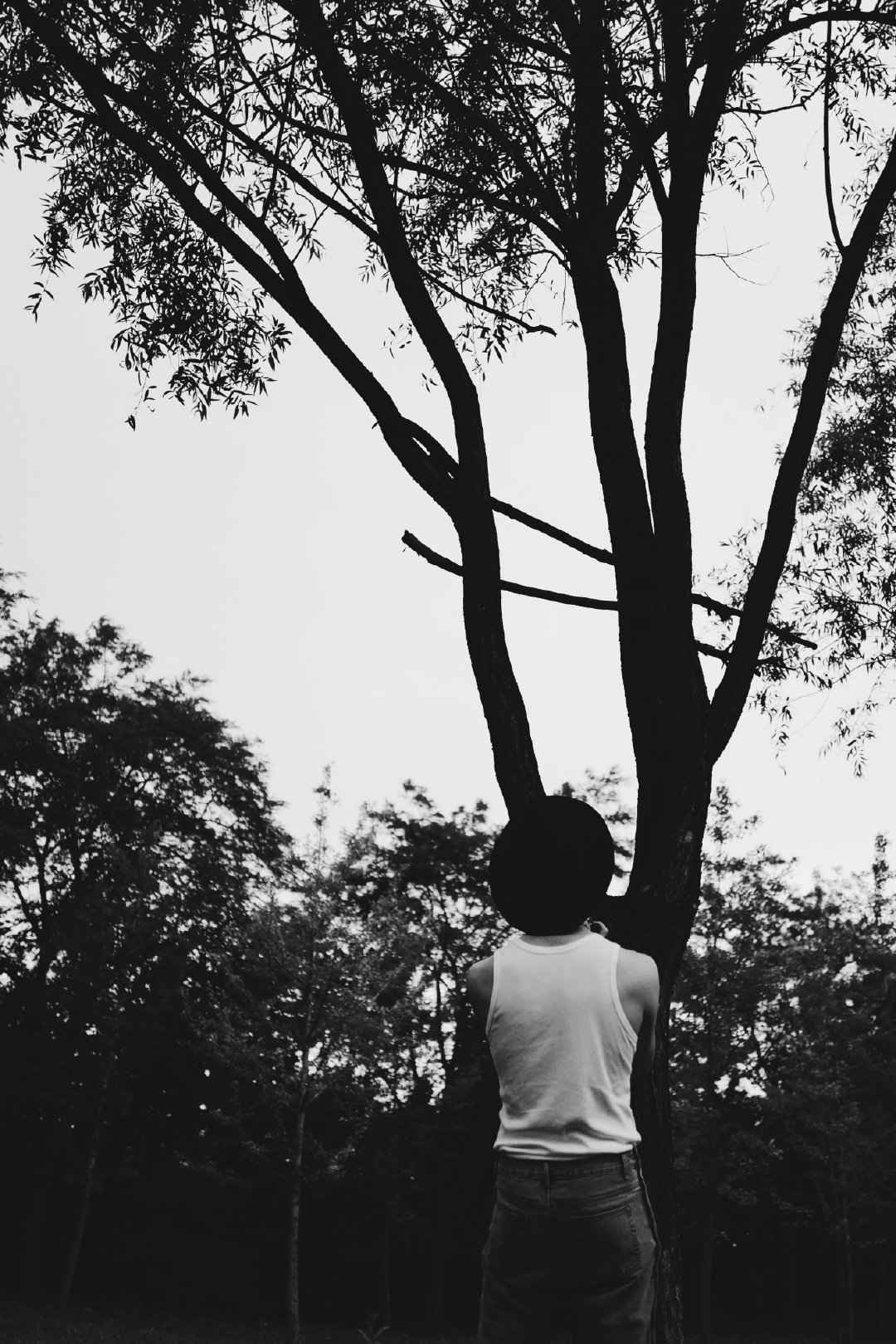 身材氛围都绝！王嘉夏日氛围感森系大片释出