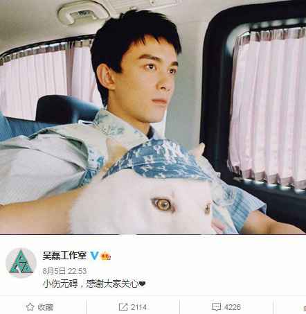 吴磊拍戏时脸部被烫伤 工作室发文报平安