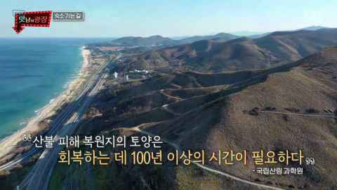 白种元的新一档「良心」节目！拯救被大众遗忘的地方特产