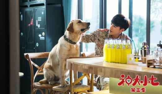 《神犬小七3》见证演员的姜潮成长