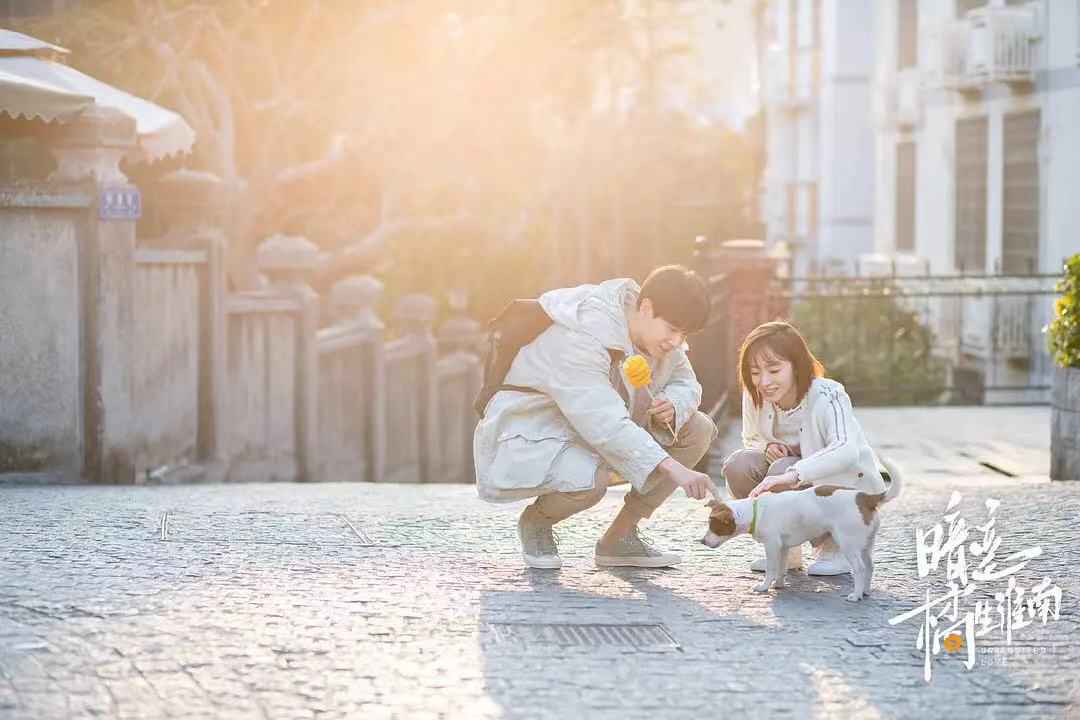 八月长安心里的张爱玲，《暗恋橘生淮南》胡一天给演淡了