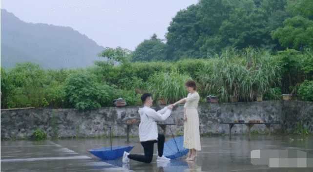 收视第一,观众口碑高,海清这部剧又给央视“争光了