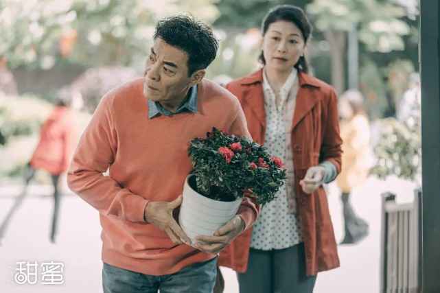 收视第一，观众口碑高，海清这部剧又给央视“争光了