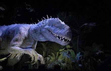 北京环球影城门票及酒店将接受预订 票价曝光