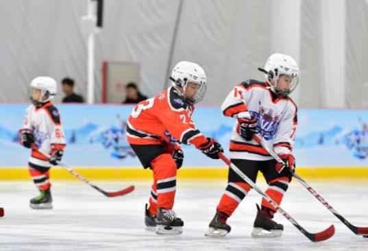 浙江卫视《大冰小将》潘思言当选队长 易烊千玺温柔照顾小将 雷佳音比赛连跪崩溃吐槽:都晃我