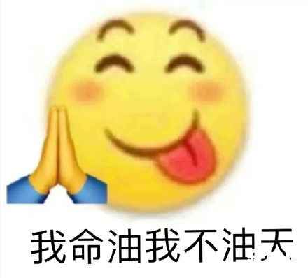 孙一宁个人资料 孙一宁是拉拉吗 王思聪语录表情包