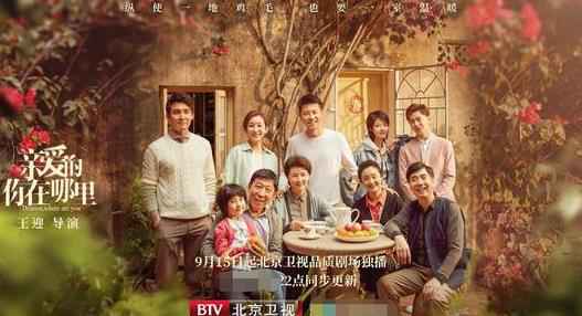电视剧《亲爱的，你在哪里》王雷秦海璐寻子艰难矛盾频发